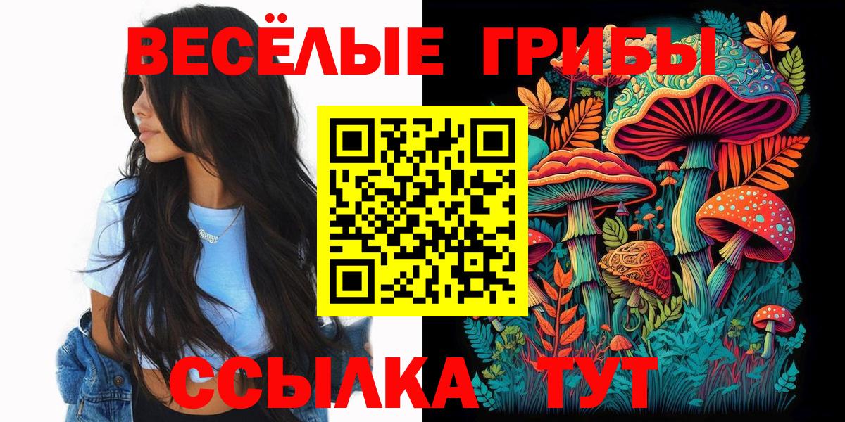 Павловский Посад  Галлюциногенные грибы ЛСД  как найти закладки  Вход с VPN 